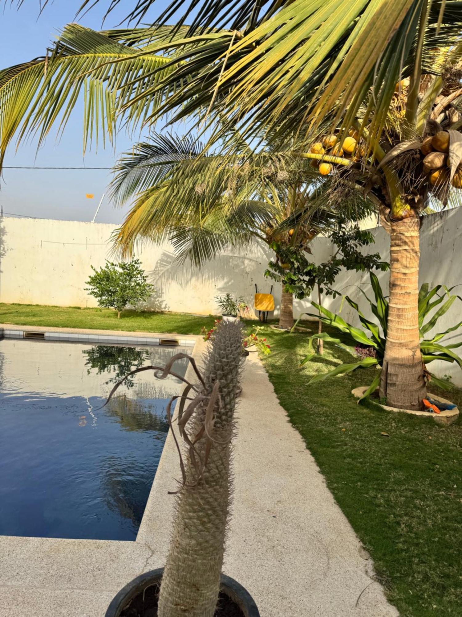 La Baraka, Extravagant Villa For 8 With Pool In Saly Gandigal Buitenkant foto